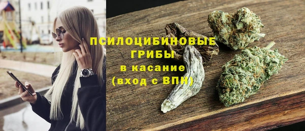 молекула духа Белоозёрский