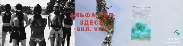 молекула духа Белоозёрский