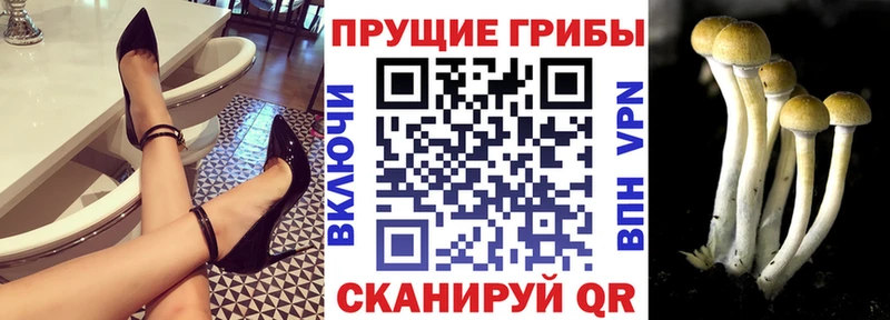 Псилоцибиновые грибы ЛСД omg ссылки Зеленоградск